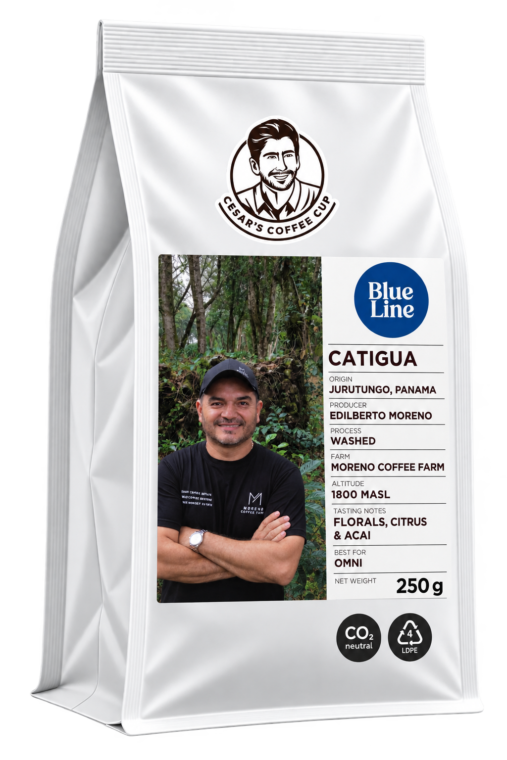 Catigua Washed