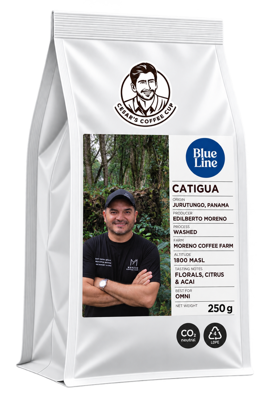 Catigua Washed