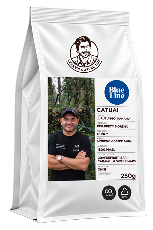Catuai Honey