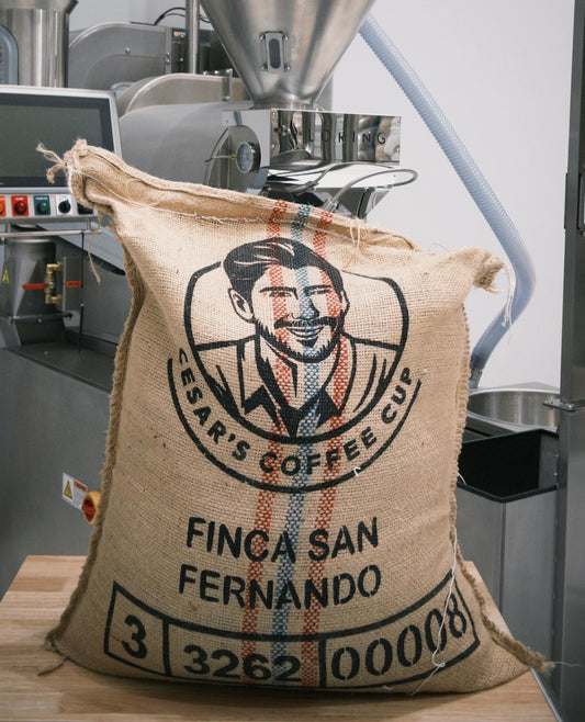 Colombia Cogollo Morado - San Fernando