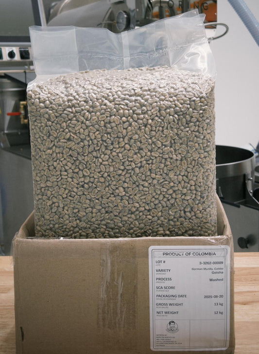 Colombia Geisha San Fernando Fermented 36h